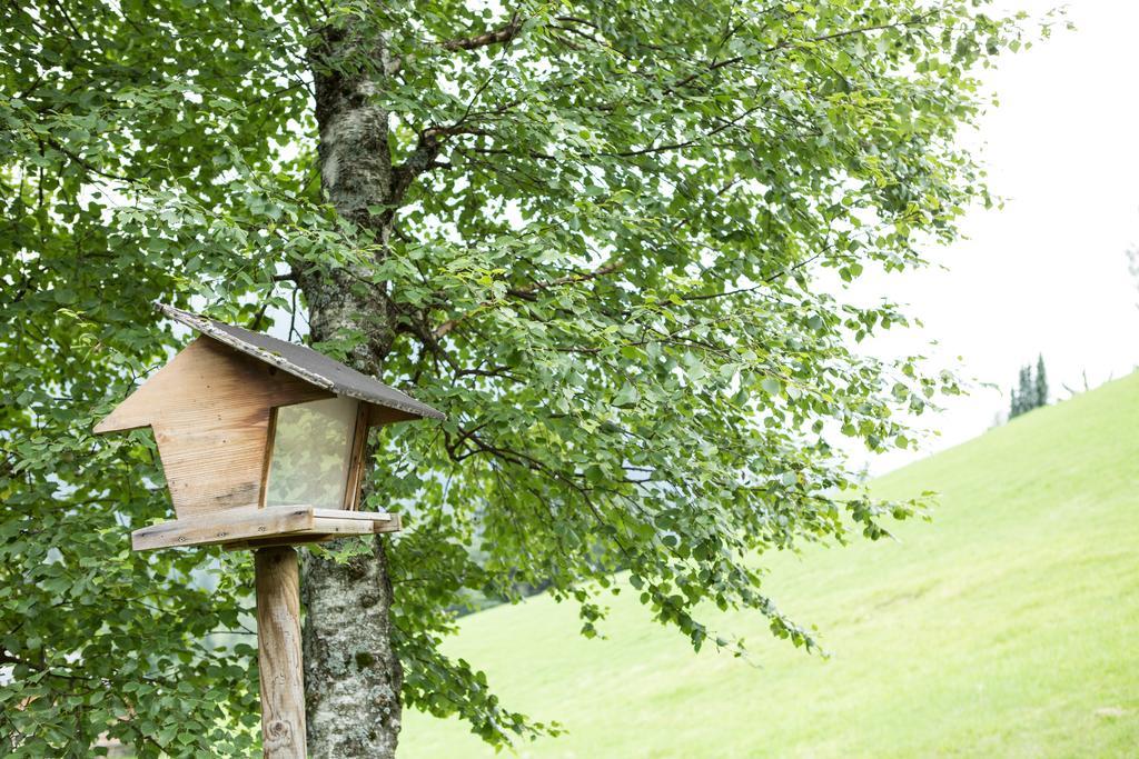 Ferienhaus Sara Bad Kleinkirchheim Dış mekan fotoğraf