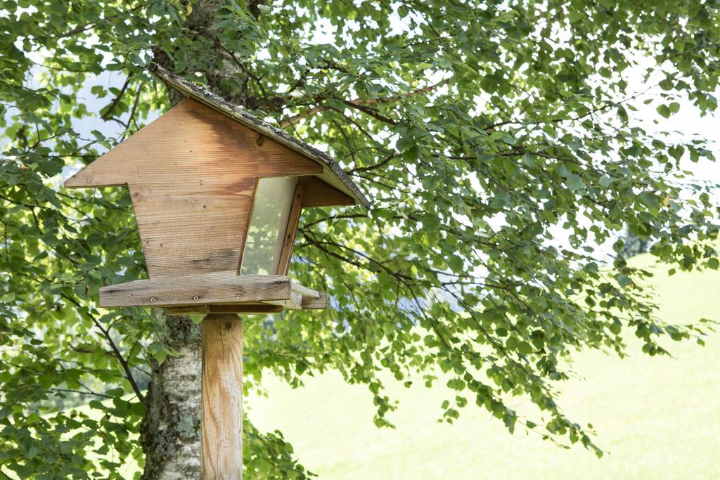 Ferienhaus Sara Bad Kleinkirchheim Dış mekan fotoğraf